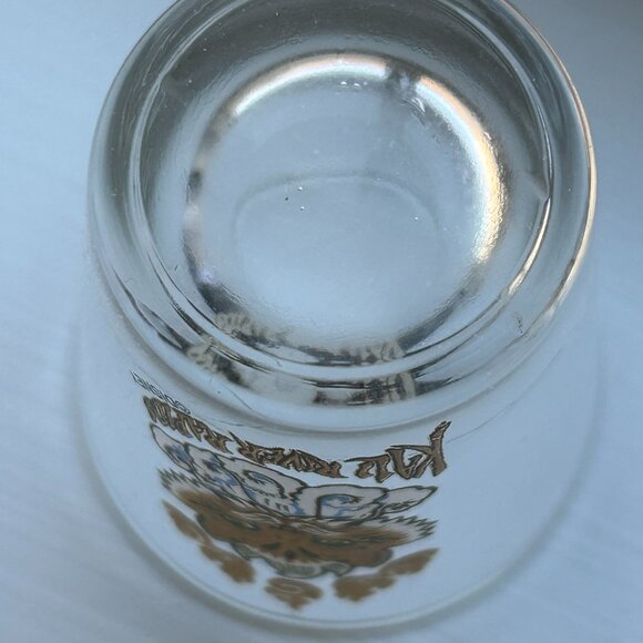 Walt Disney World Animal Kingdom Whitewater Kali River Rapids Bar Shot Glass FL - Picture 6 of 6